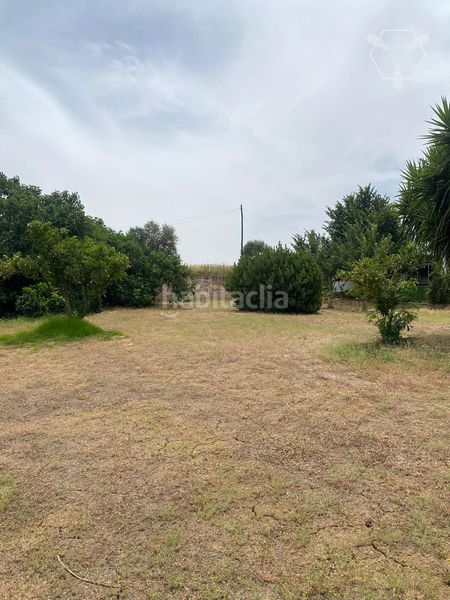 Foto a6b17166-4b31-45ac-9c4e-b2c9d2fef860. Casa a Gibraleón