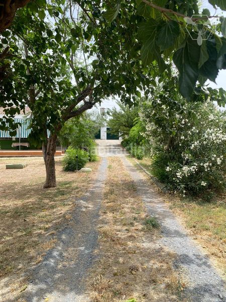 Foto aa4edfd2-eaad-4037-b628-10630b039b73. Casa a Gibraleón