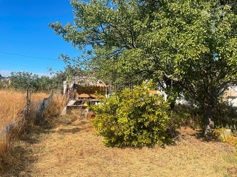 Foto 58838cdb-a0d5-4b44-be94-c79d2cdab6f8. Xalet amb aparcament a Bonares