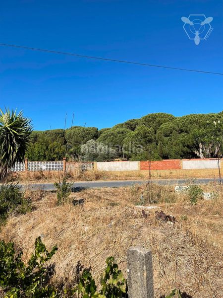Foto bebf573f-2ed9-4e15-b4dd-cd17e8d91b52. Xalet amb aparcament a Bonares