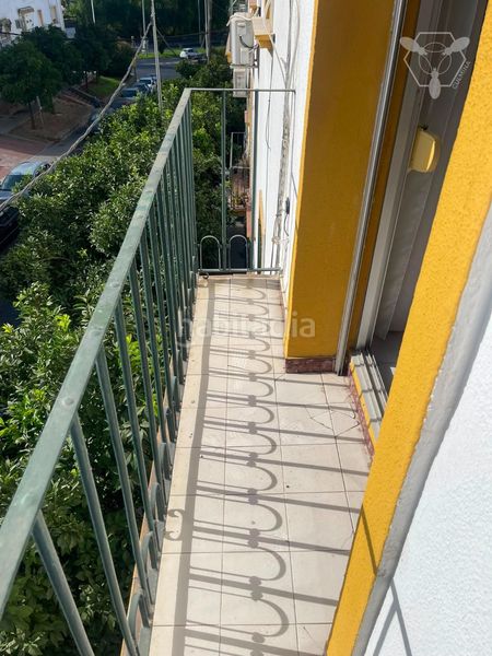 Foto b9884707-6c0f-4ca3-935b-9a567058c7a3. Pis a Las Torres - Guadalupe Huelva