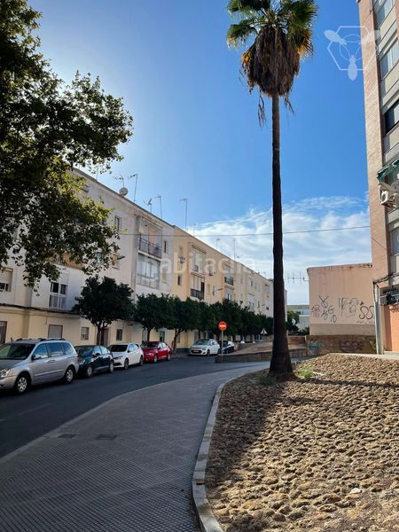 Foto f4adf895-1441-4166-88a1-467b758da35c. Pis a Las Torres - Guadalupe Huelva