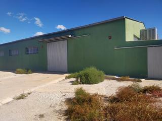 Nau industrial a Crevillente. Nave de 700 m2 en crevillente