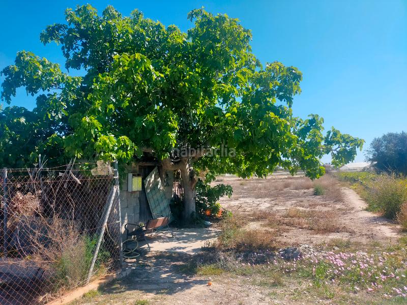 Foto 00476040-857b-4421-9364-445db4b27fd5. Propriété dans La Foia - Daimés - Asprella Elche / Elx