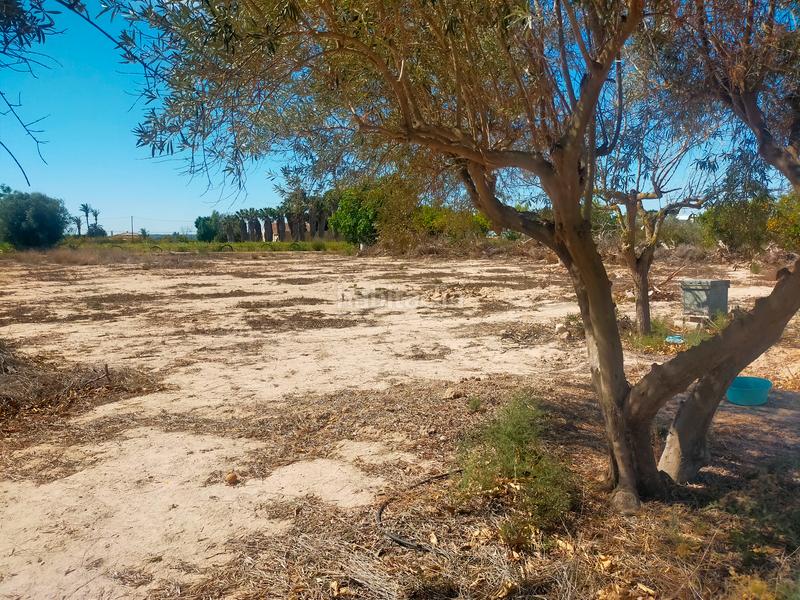 Foto 074b79fa-c815-431d-a75d-032a61a67f51. Propriété dans La Foia - Daimés - Asprella Elche / Elx