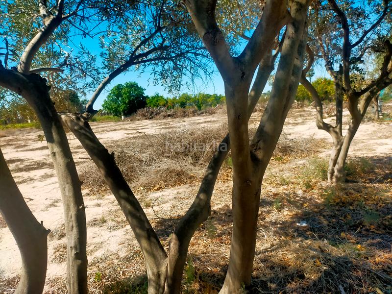 Foto 1a3d12c5-b2fa-41de-93bd-73348a50b7f8. Propriété dans La Foia - Daimés - Asprella Elche / Elx