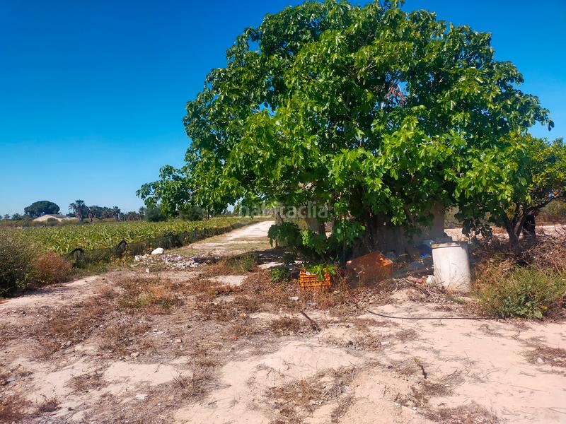 Foto 484a8d63-ca8e-40b5-9b18-6b2444736678. Propriété dans La Foia - Daimés - Asprella Elche / Elx