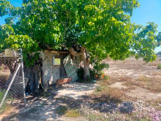 Finca rústica en La Foia - Daimés - Asprella. 129 parcela cerca de la hoya no edificable en la hoya