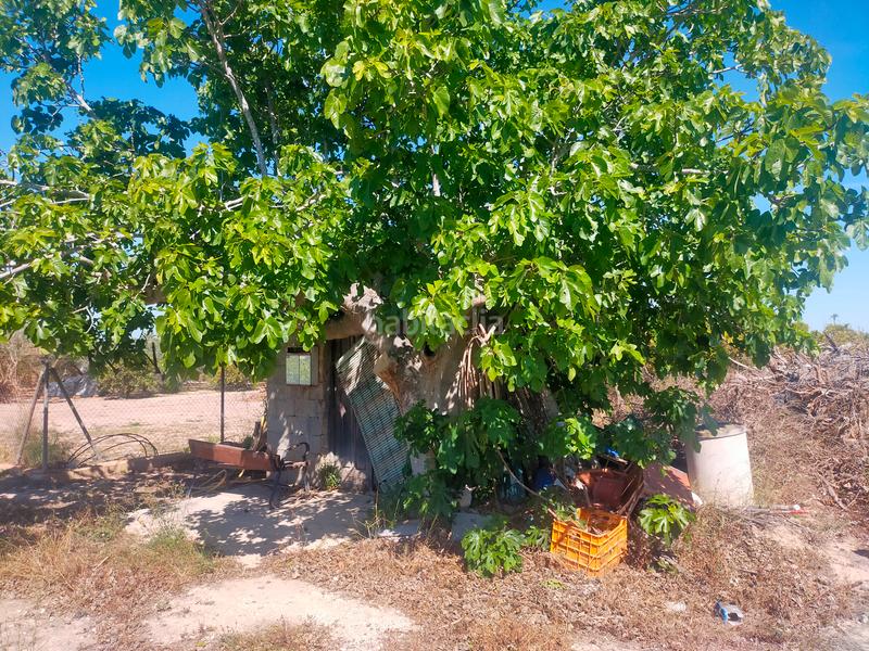 Foto dc369e52-edd7-4163-a202-62924e9eb6dd. Propriété dans La Foia - Daimés - Asprella Elche / Elx