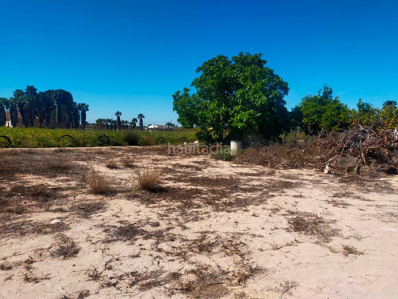 Foto ea113a52-313a-40e7-9e9e-09d851aff075. Propriété dans La Foia - Daimés - Asprella Elche / Elx