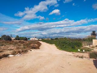 Terreny residencial a La Marina. 40.000 m2 terreno edificable en el molar