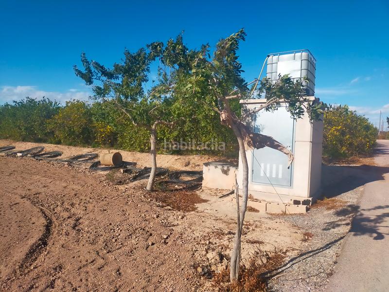 Foto 02583e3a-3427-4ad7-b852-04457b1b8819. Terreno residencial en Los Arenales del Sol Elche / Elx