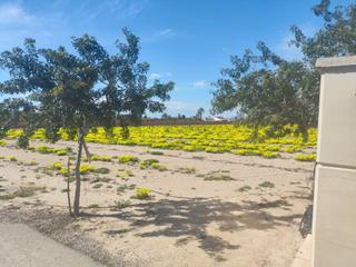 Terreno residencial en Los Arenales del Sol