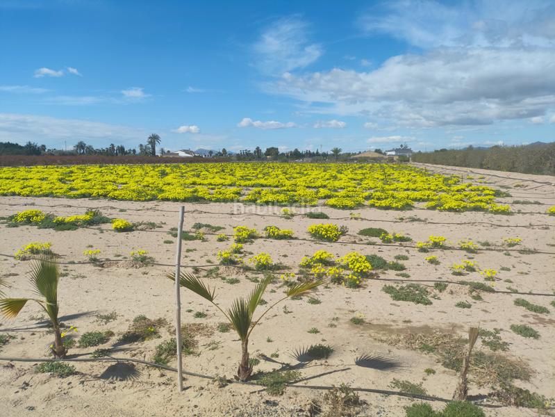 Foto 7e1f871e-8cc6-458d-b45b-164489f9cf6b. Terreno residenziale in Los Arenales del Sol Elche / Elx