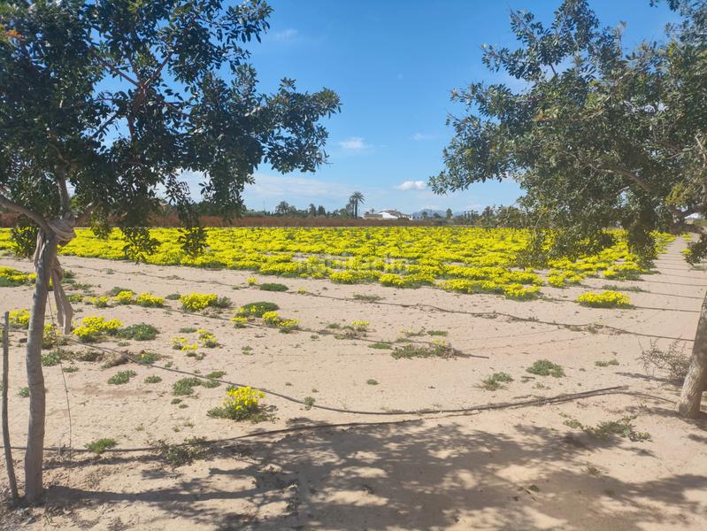 Foto aca723ed-fb14-4b6e-8435-ff4a6dbde5b6. Terreno residenziale in Los Arenales del Sol Elche / Elx