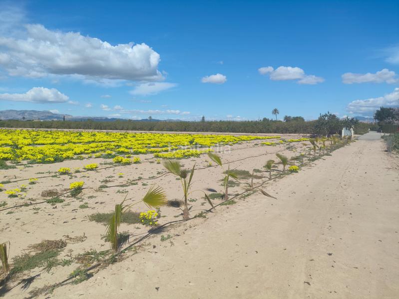 Foto d11ee301-d953-499e-a4df-94588a373630. Terreno residenziale in Los Arenales del Sol Elche / Elx