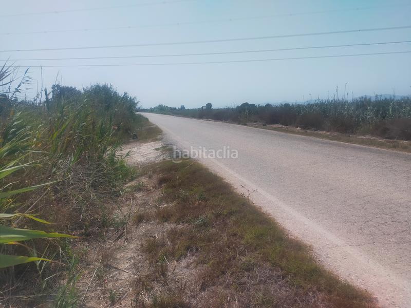 Foto 0dad90d1-ce92-4a4c-968f-2d4a2e72481d. Fondo rustico in La Foia - Daimés - Asprella Elche / Elx