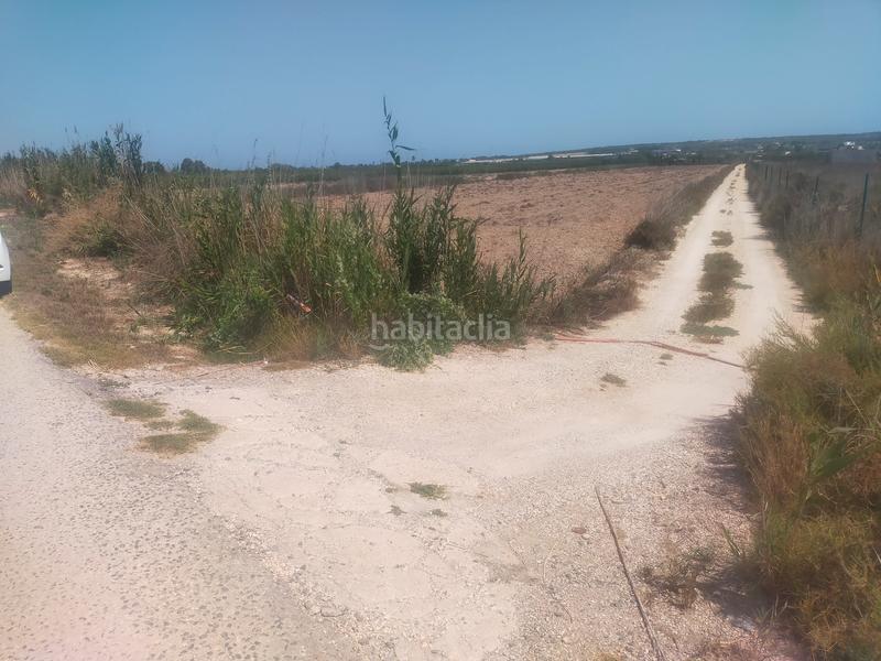 Foto 709e70b1-fd84-45e5-a682-0e87076de53b. Fondo rustico in La Foia - Daimés - Asprella Elche / Elx