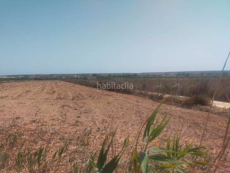 Foto 7fcf4c92-5d0d-4bd0-b057-786968d4204e. Fondo rustico in La Foia - Daimés - Asprella Elche / Elx