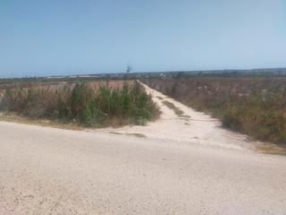 Finca rústica en La Foia - Daimés - Asprella. Terreno agua gratis no edificable ,  carretera la marina
