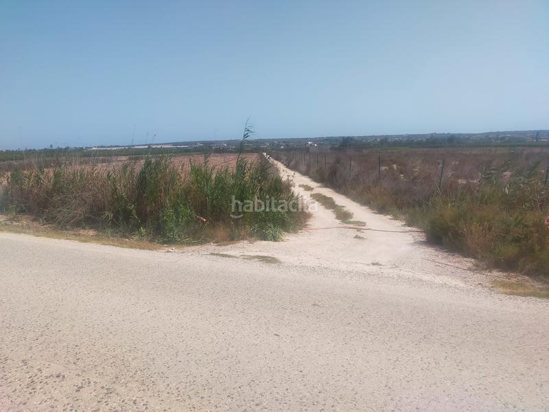 Foto a05304d3-e5d5-4255-a5ad-aa45ae3ed58c. Fondo rustico in La Foia - Daimés - Asprella Elche / Elx