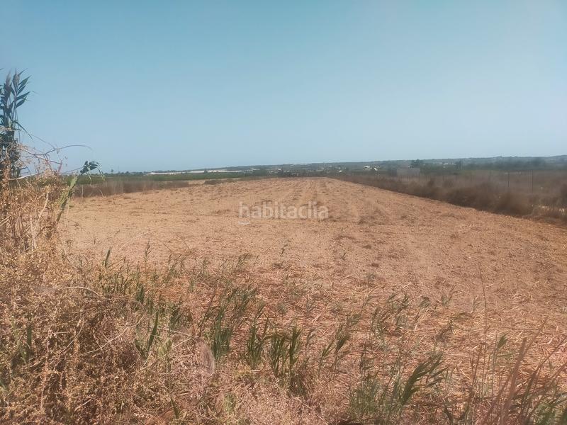 Foto a5ad5339-b02c-41ff-8a27-d9ab53e815a6. Fondo rustico in La Foia - Daimés - Asprella Elche / Elx