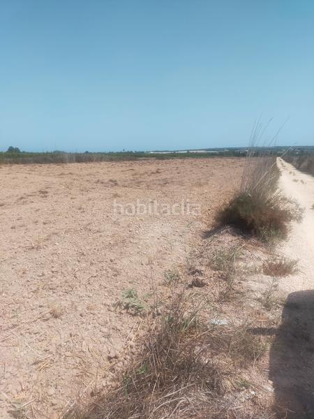 Foto da2a6057-9561-4803-8dd1-f9de12eecfb6. Fondo rustico in La Foia - Daimés - Asprella Elche / Elx