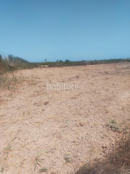 Foto e891ba0d-09da-4d43-bfc9-b932bf1bf52c. Fondo rustico in La Foia - Daimés - Asprella Elche / Elx