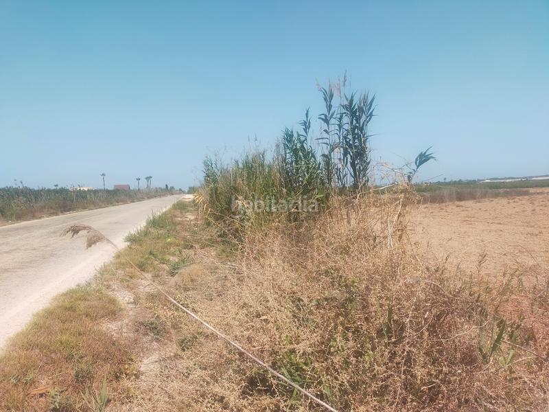 Foto eee72805-4aa1-448b-9205-264de4076b6d. Fondo rustico in La Foia - Daimés - Asprella Elche / Elx