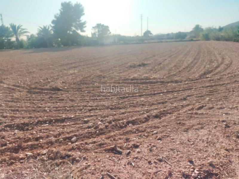 Foto be0bb7dc-2fee-4693-a1a6-ae23a3cbcf68. Propriété dans Jubalcoi Elche / Elx