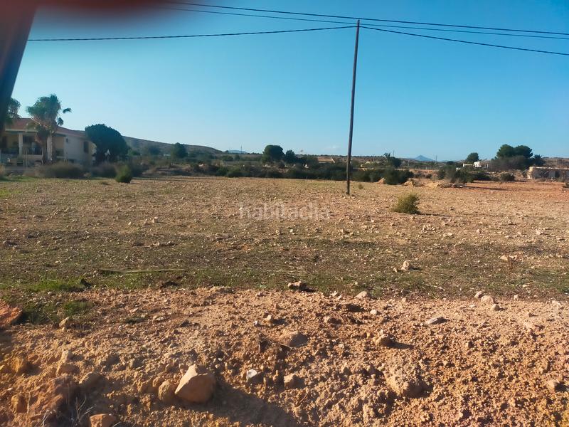 Foto 56af4c87-b60a-40da-b41f-c5dc067608df. Fondo rustico in Jubalcoi Elche / Elx