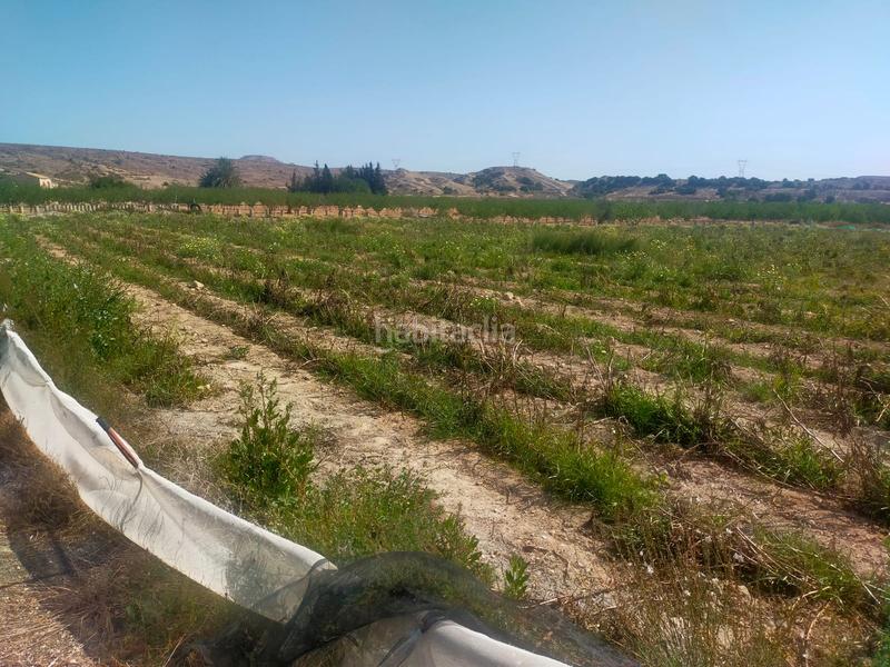 Foto 9aba4df0-d57b-4367-afa5-3be7f78ad98c. Propriété dans Jubalcoi Elche / Elx