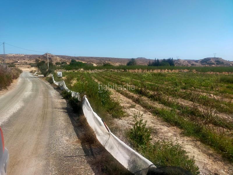 Foto 9e579e15-6a4d-493d-928b-db80804162c3. Propriété dans Jubalcoi Elche / Elx