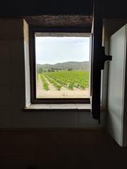 Rural plot in Yecla. Gran finca con viñedos y casa en yecla-murcia
