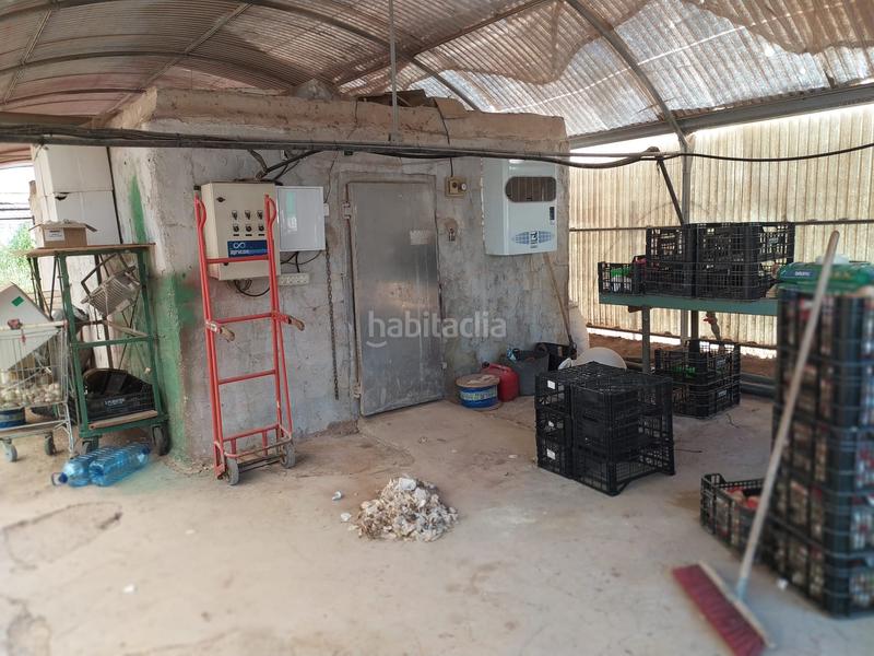 Foto 038e60f4-33fb-418c-8d38-4177685fface. Terrain résidentiel dans La Foia - Daimés - Asprella Elche / Elx