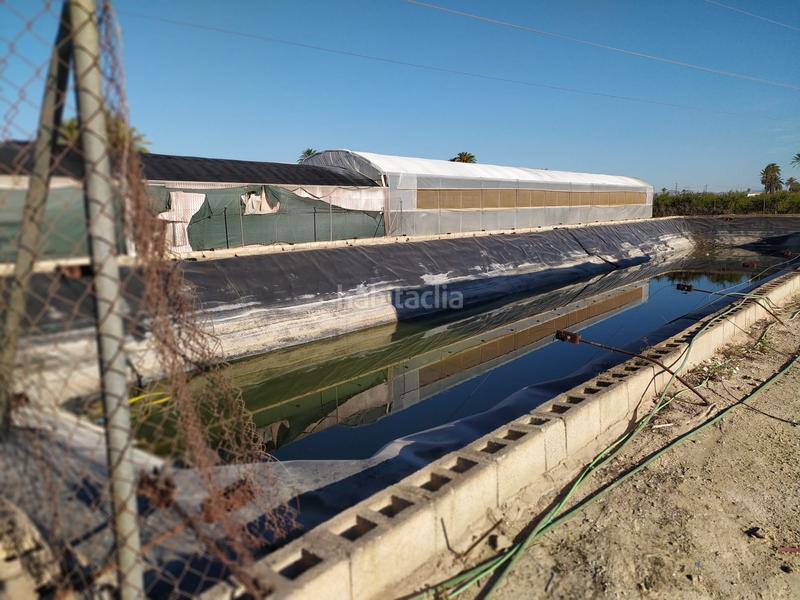 Foto 3cf6399d-5fd0-47ad-a300-57fac3468a91. Terrain résidentiel dans La Foia - Daimés - Asprella Elche / Elx