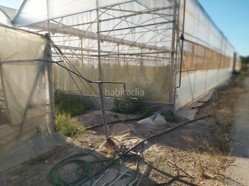 Foto a0a7a4d1-e603-4013-96a9-331a988288df. Terrain résidentiel dans La Foia - Daimés - Asprella Elche / Elx