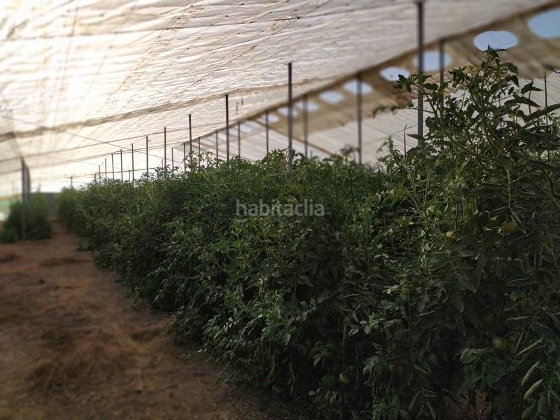 Foto aa1a21f7-5caa-4552-a449-5246d3e561f6. Terrain résidentiel dans La Foia - Daimés - Asprella Elche / Elx