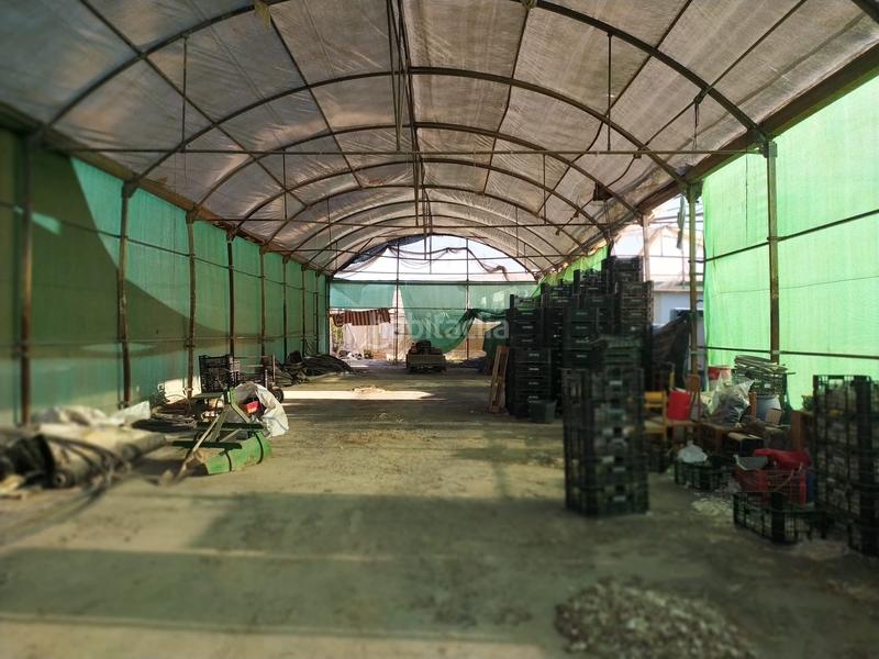 Foto b2d2e2b3-3ccb-47bb-bbf3-0bed42c730e4. Terrain résidentiel dans La Foia - Daimés - Asprella Elche / Elx