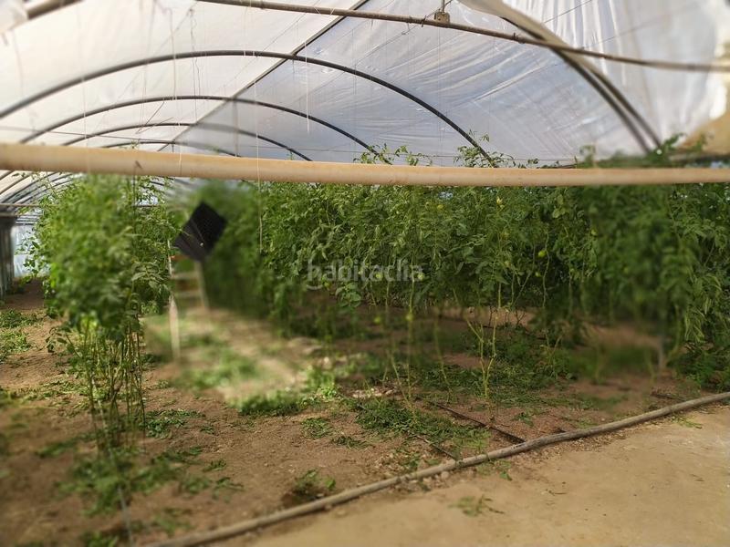 Foto b7a36933-5ee7-46d3-b446-9ec53e6af009. Terrain résidentiel dans La Foia - Daimés - Asprella Elche / Elx