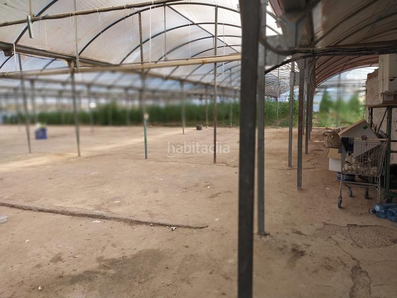 Foto bf76d4b9-b4be-4a48-bcea-7a4feb13c9dc. Terrain résidentiel dans La Foia - Daimés - Asprella Elche / Elx