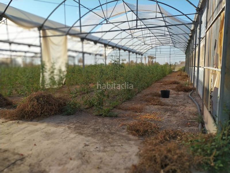 Foto cc7036c2-26ea-4973-9f0d-d3b1210b4423. Terrain résidentiel dans La Foia - Daimés - Asprella Elche / Elx