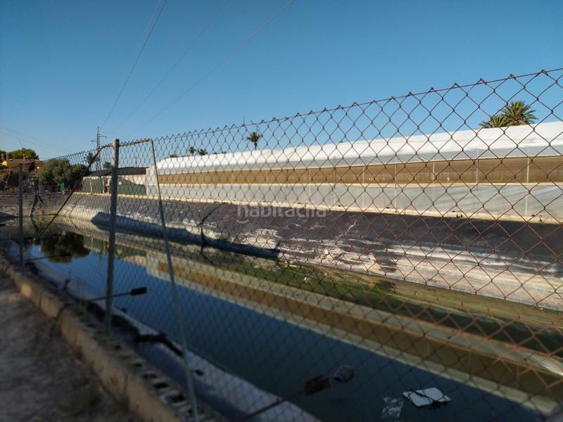 Foto fcd1c135-7f5c-4abb-aa32-ae9f6176d152. Terrain résidentiel dans La Foia - Daimés - Asprella Elche / Elx