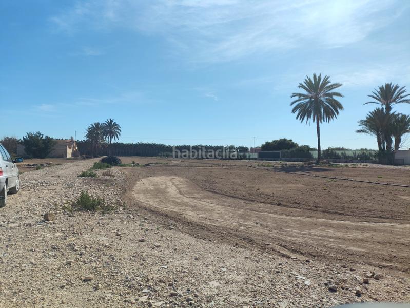Foto 040f9627-d033-49f8-a30d-45e023dd94eb. Rural plot in Las Bayas Elche / Elx
