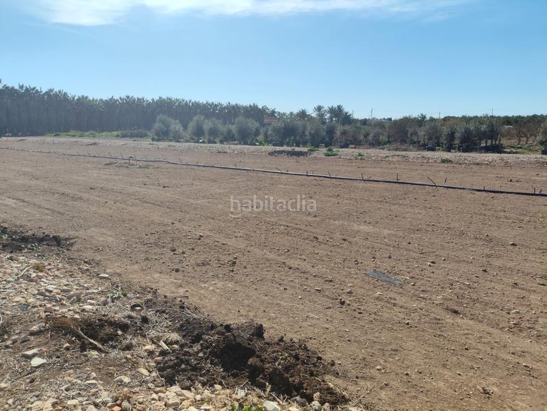 Foto 4609049a-af3c-4d78-b6ef-98b51fabb45c. Rural plot in Las Bayas Elche / Elx