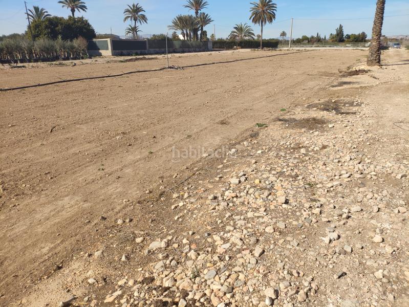 Foto 8be52184-0a78-42c8-ab3c-73a74af0eb42. Rural plot in Las Bayas Elche / Elx