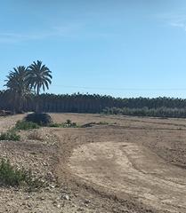 Finca rústica a Las Bayas. Terreno de 9500 m2 en baya baja