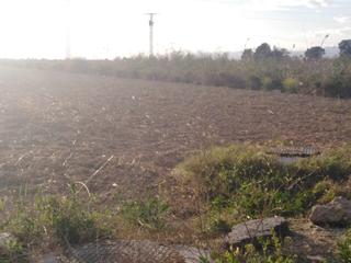 Finca rústica a La Foia - Daimés - Asprella. Terreno en daimés  a 2 km del mar