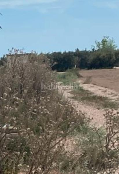 Foto d8a1b1d8-c0df-4f56-b178-402573545ae8. Landgut in Las Bayas Elche / Elx