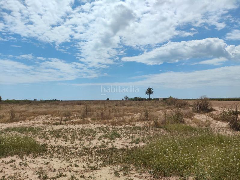 Foto eae0257d-6d29-4bff-a7cc-757f56d3a984. Landgut in Las Bayas Elche / Elx